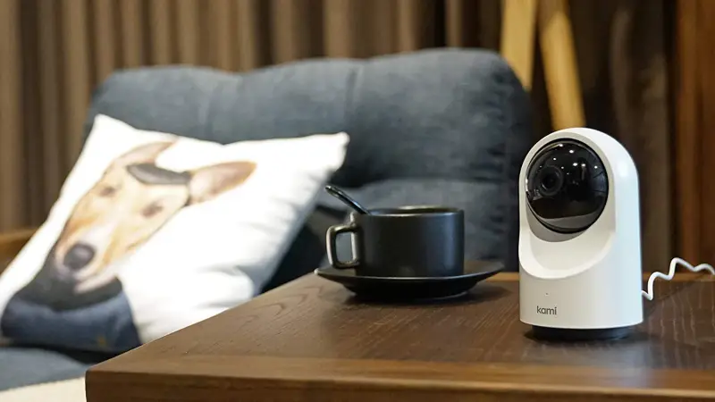 Indoor Cameras