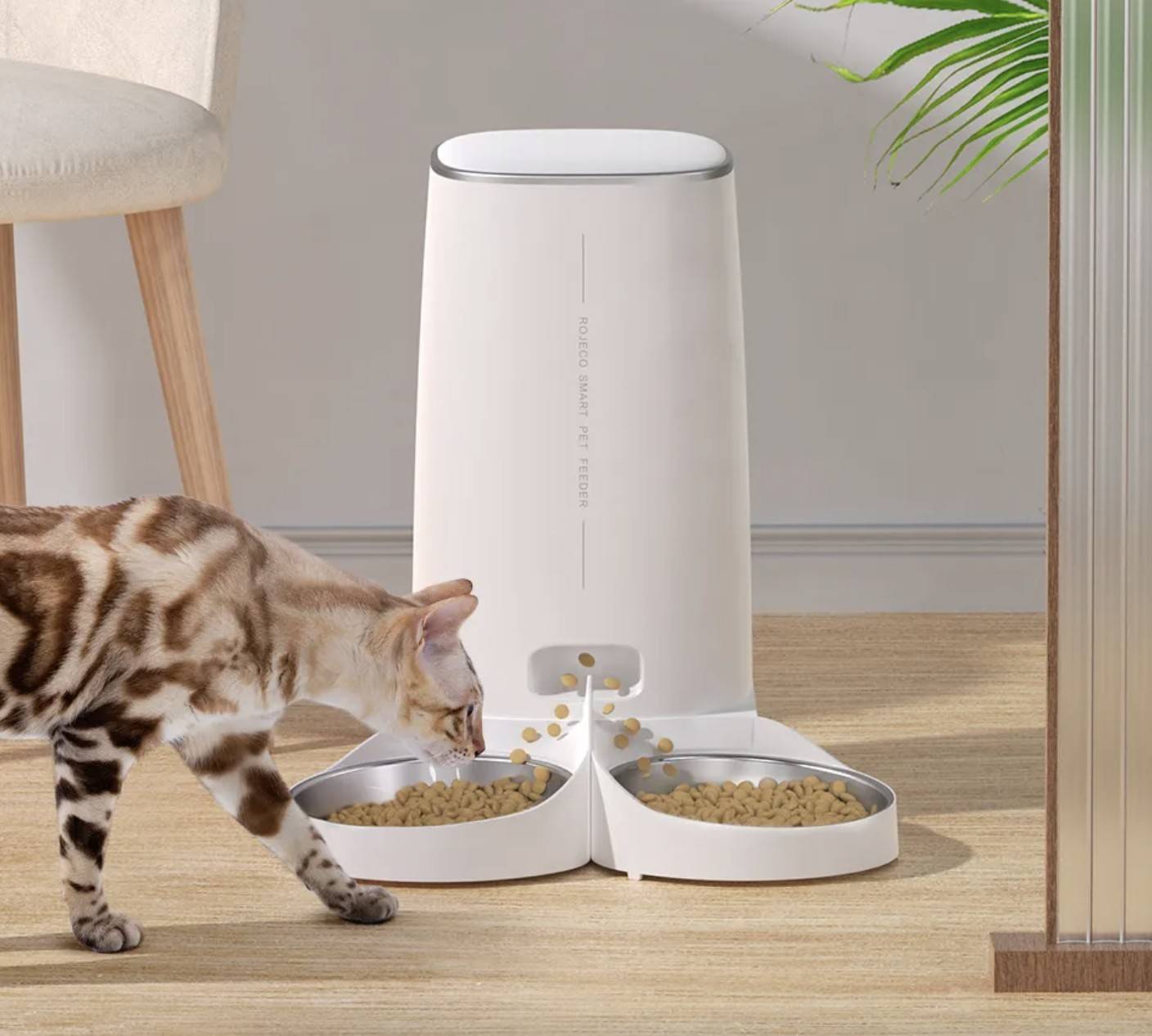 Automatic Cat and Dog Feeder with WiFi Button Remote Control