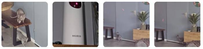 ROJECO automatic electronic cat and dog LED laser toy