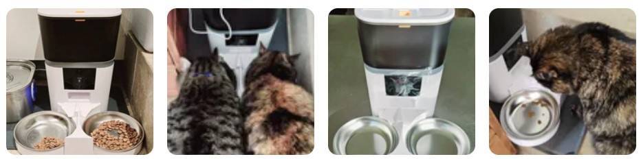Automatic pet feeder cat and dog 4L with HD camera on Aliexpress